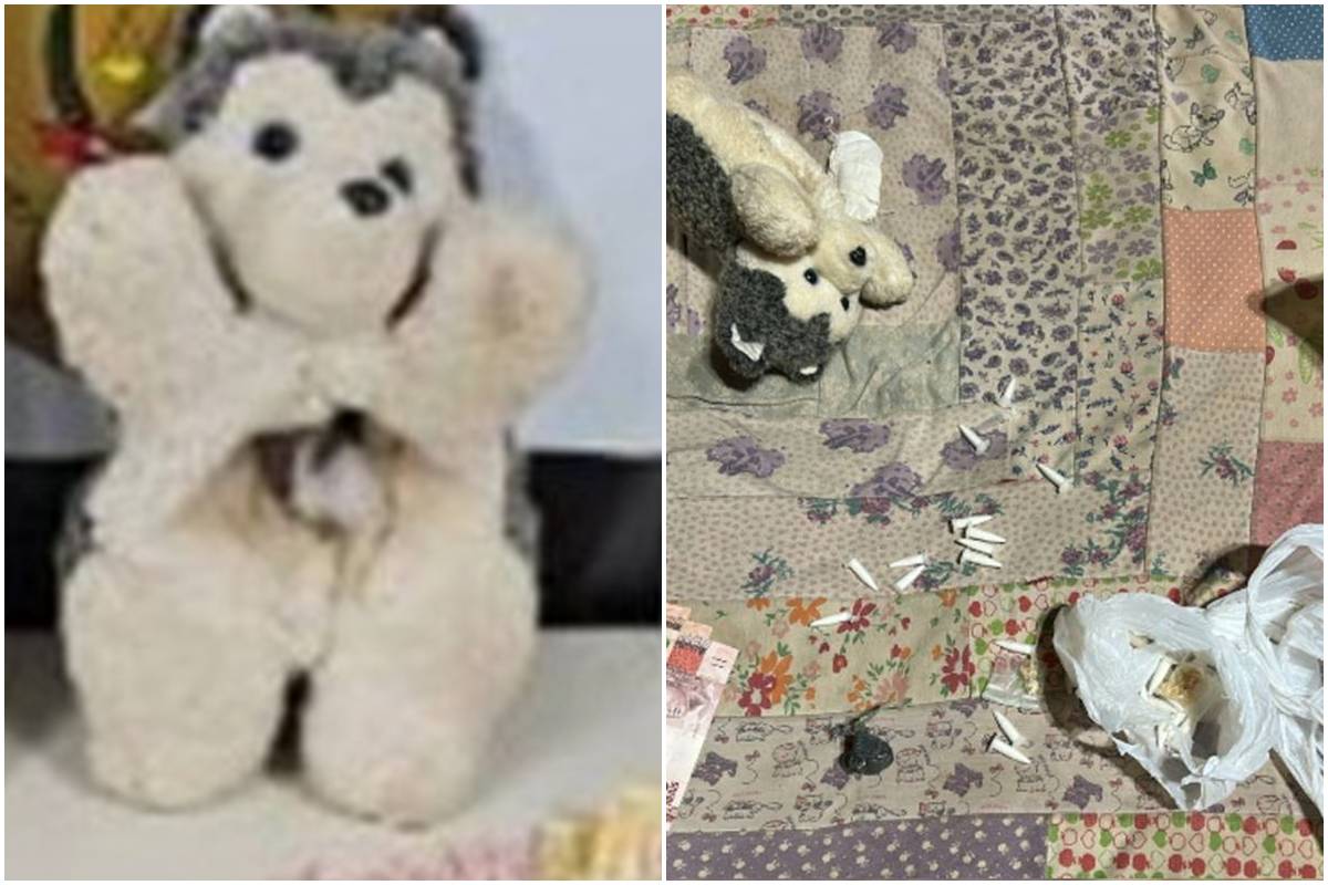 Bom dia PCDF: casal de traficantes usou urso de pelúcia para ocultar pó